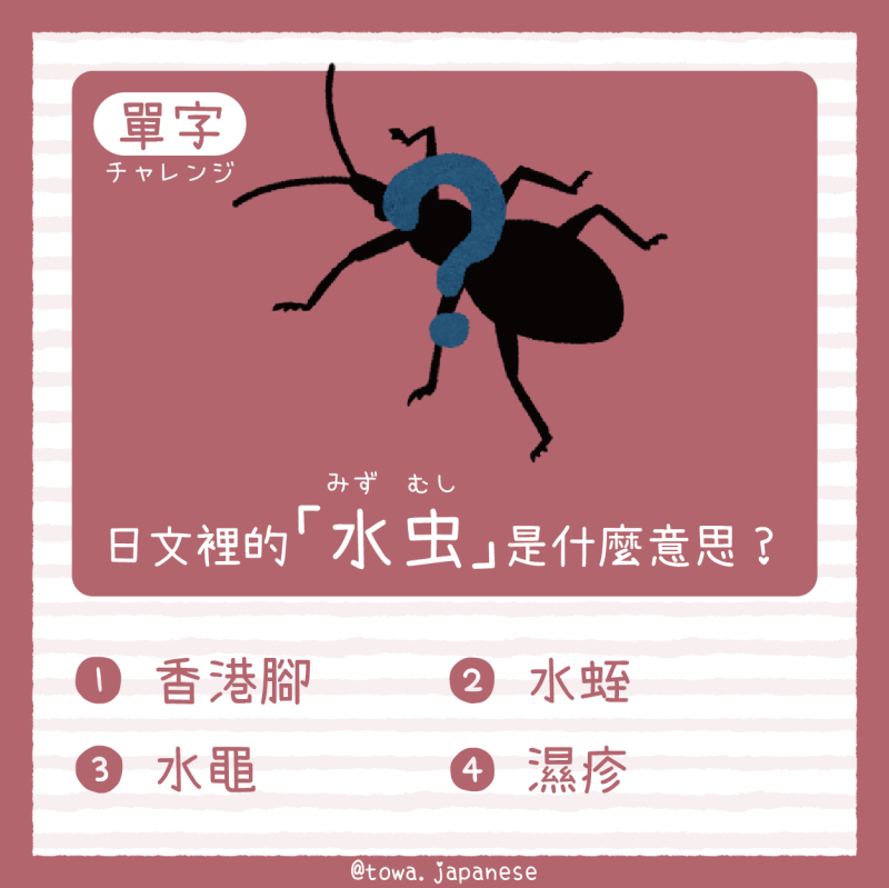 【單字小挑戰】