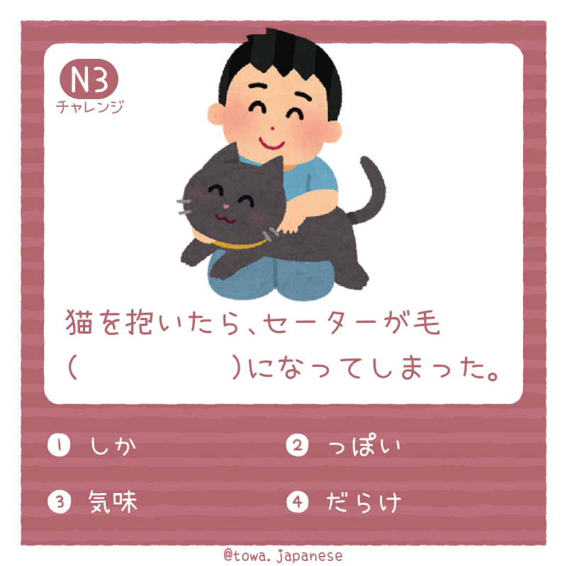 【N3】猫を抱いたら、セーターが毛（　　　　　）になってしまった。
